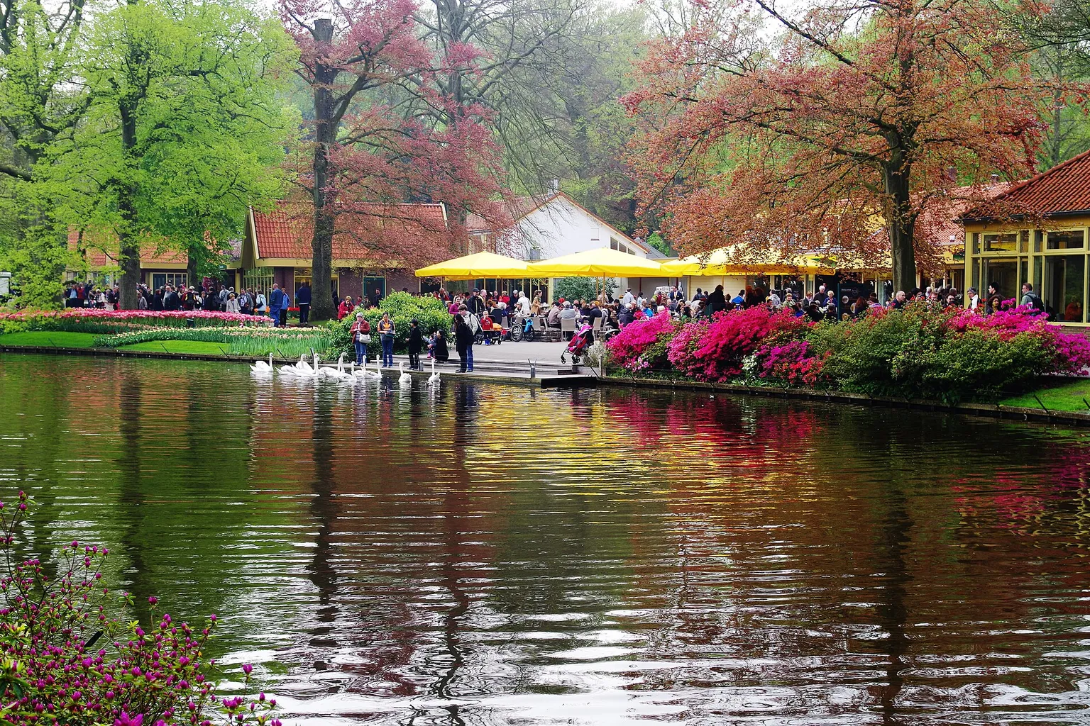 Keukenhof visita: guía esencial para organizar tu escapada
